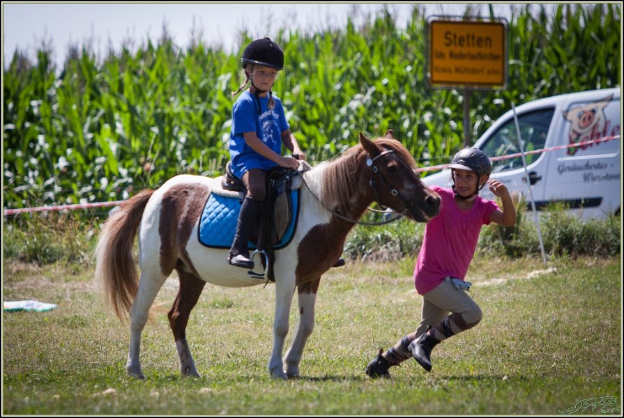 Mounted Games 240